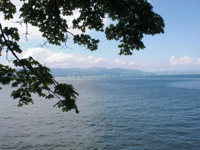 bodensee.JPG