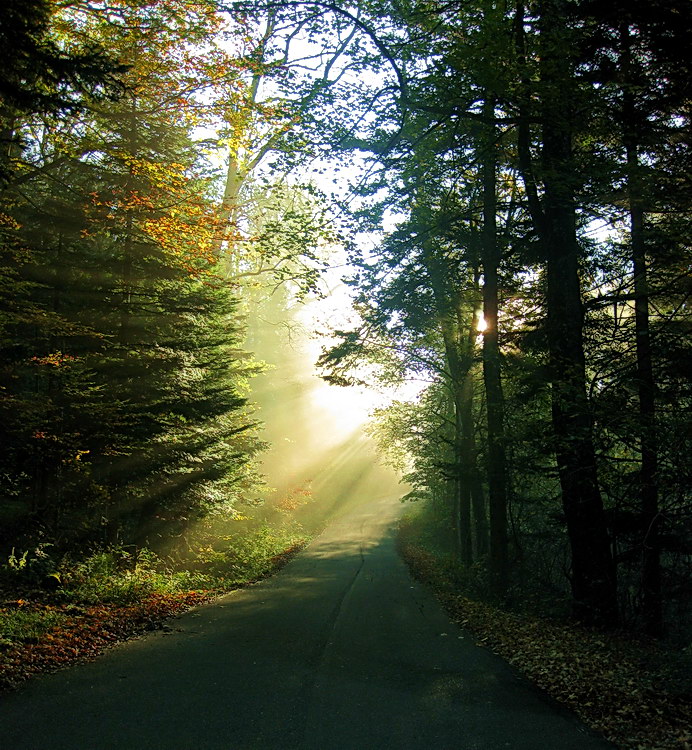 Herbstlich.jpg