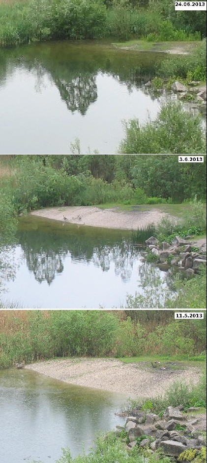 Wasserstand im Rothsee.jpg