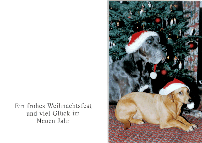 Weihnachtskarte.gif