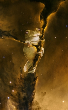 Space_Frog_by_oilcorner.jpg